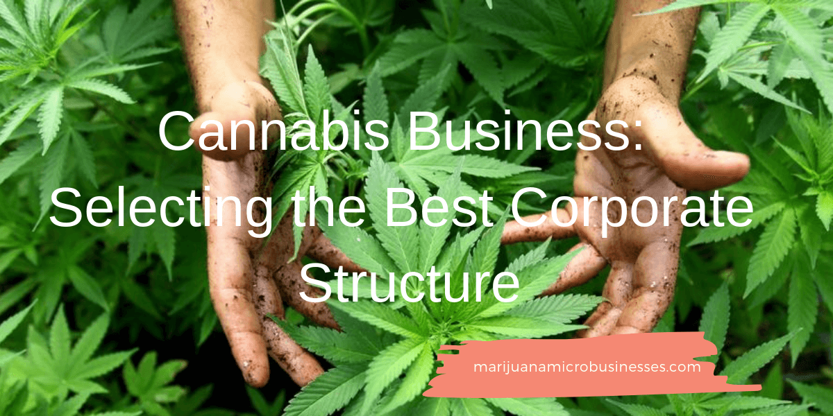 Cannabis Business Structure