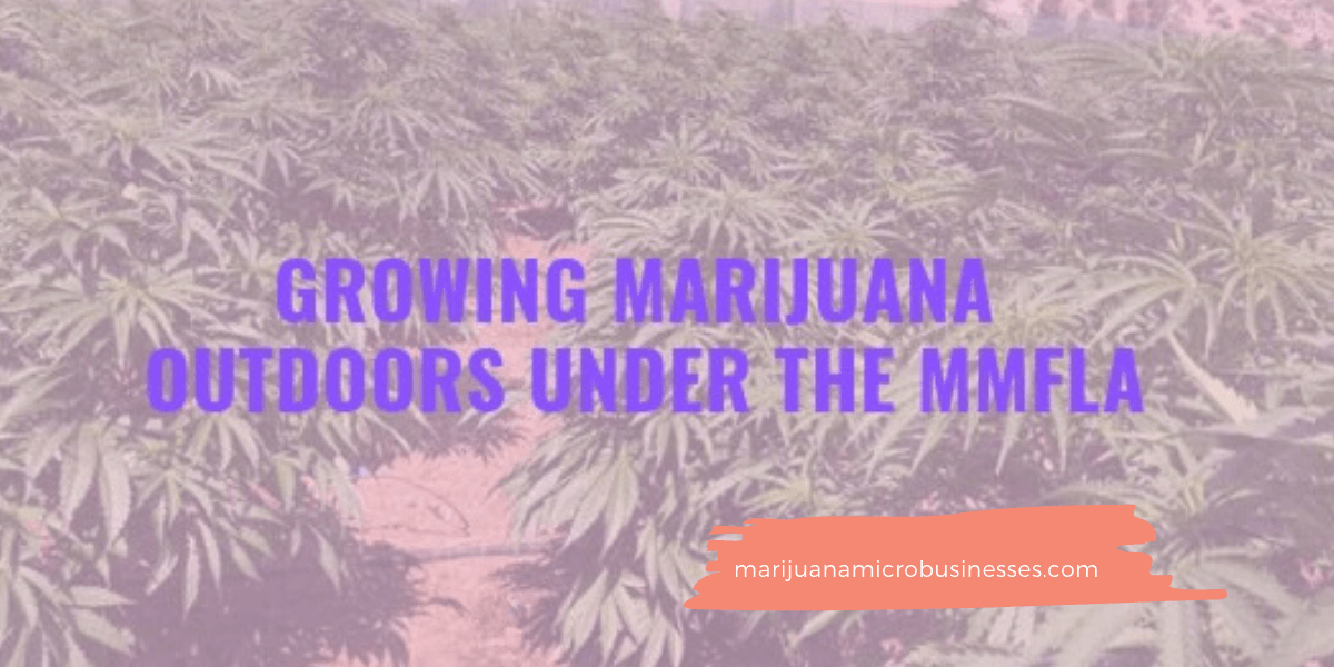 Growing marijuana outside in michigan