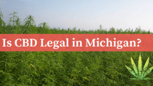 Is-CBD-Legal-in-Michigan