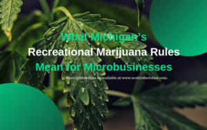 Recreational Marijuana Rules